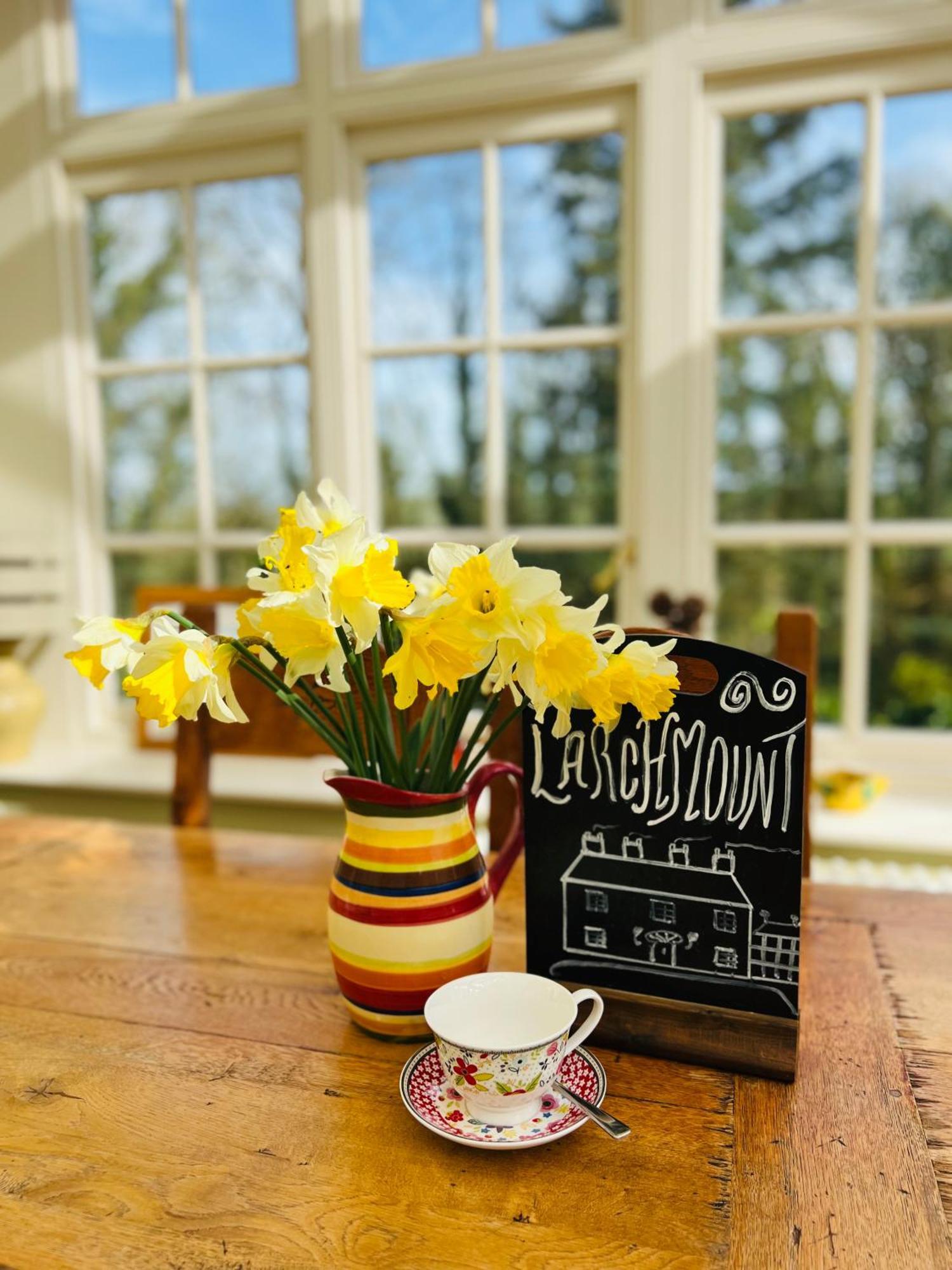 Larchmount House B&B Londonderry Ngoại thất bức ảnh